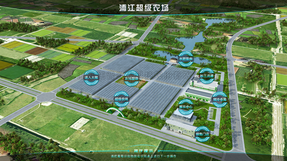 浦江超級農場：科技賦能讓種植更高效