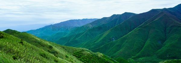 智慧護(hù)林有妙招，看太子山如何用科技守護(hù)森林