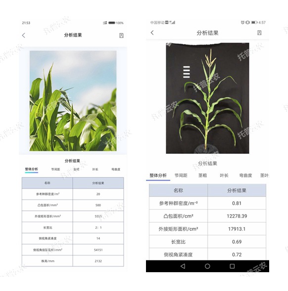 玉米株型分析系統(tǒng)手機軟件界面