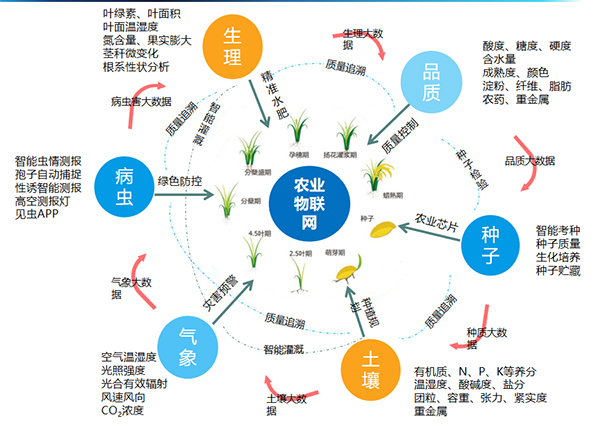 托普云農打造的全要素智能采集系統