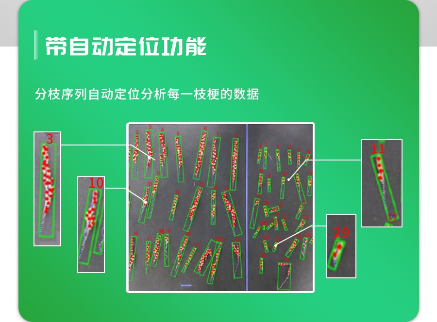 水稻整穗考種測量系統