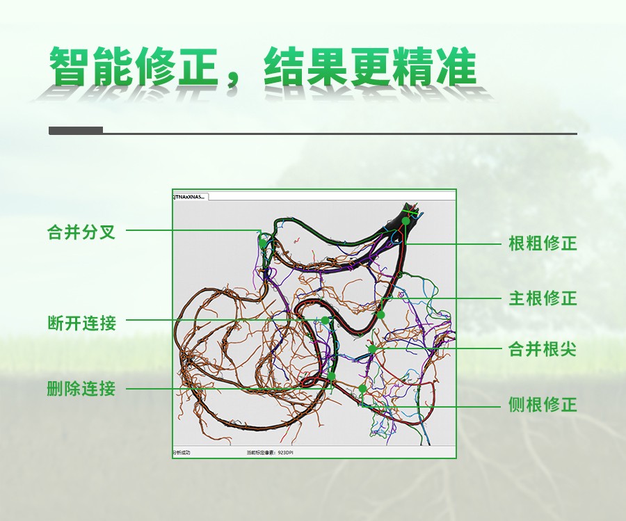 根系分析系統