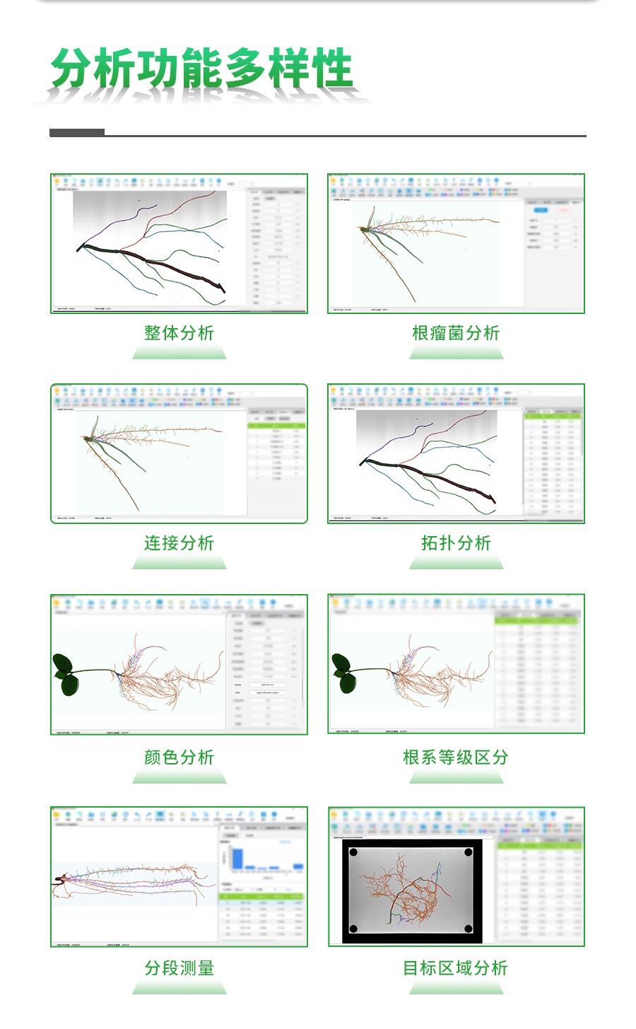 根系分析系統