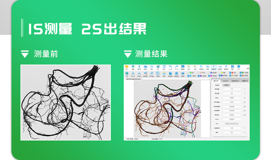 根系分析系統