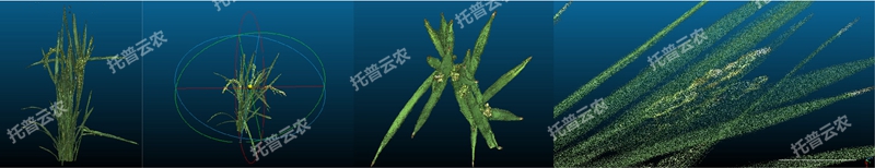 盆栽植物三維數字表型采集分析系統_副本.jpg